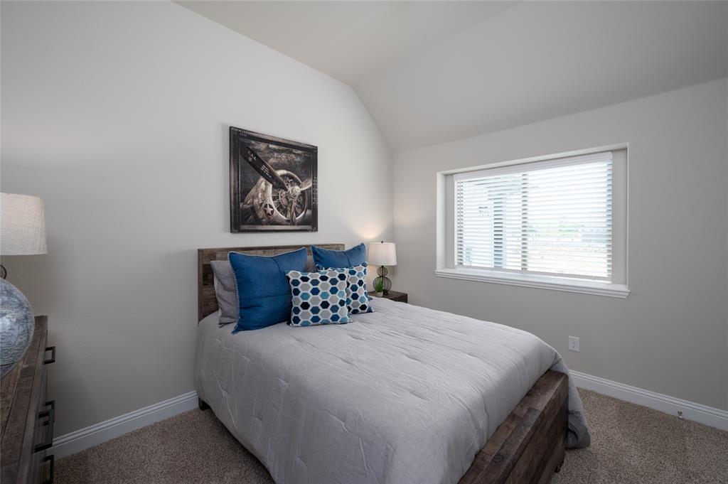 14549 Flossie Street Pilot Point, TX 76258 - Photo 17 of 24