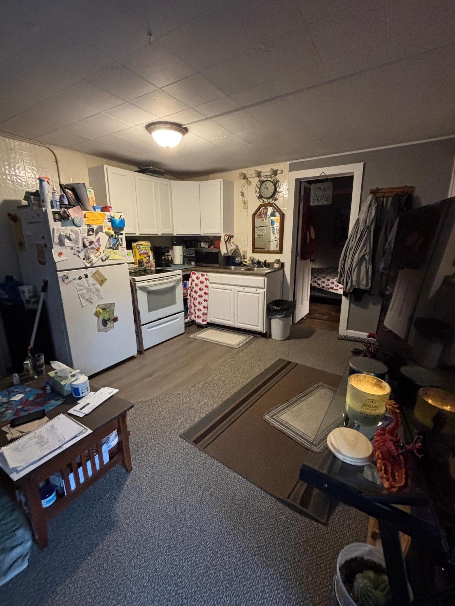 215 9th Street Northwest Bemidji, MN 56601 - Photo 7 of 36