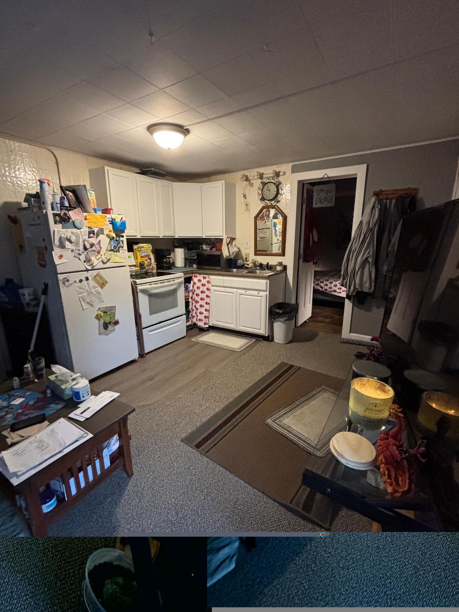 215 9th Street Northwest Bemidji, MN 56601 - Photo 7 of 36