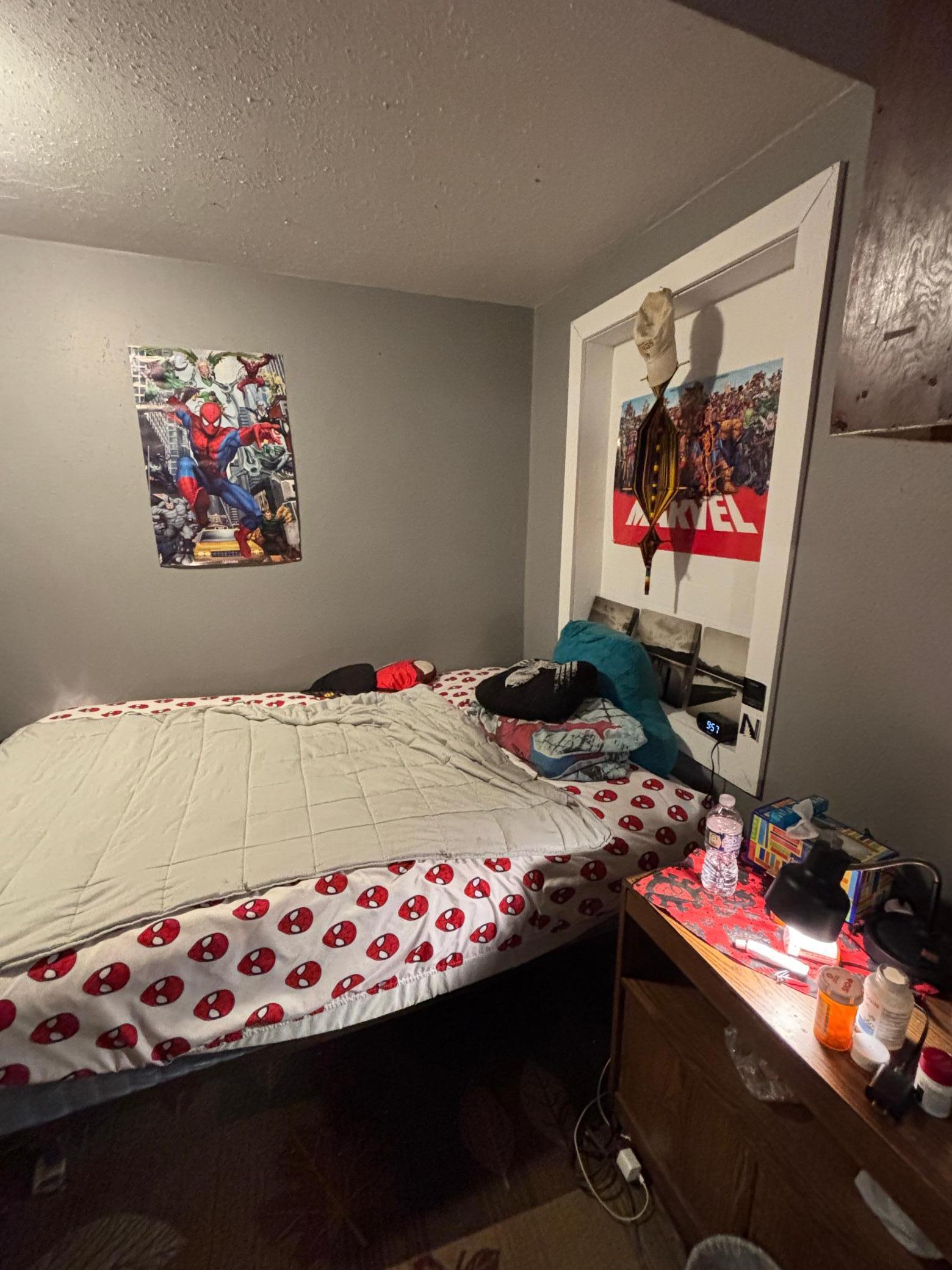 215 9th Street Northwest Bemidji, MN 56601 - Photo 8 of 36