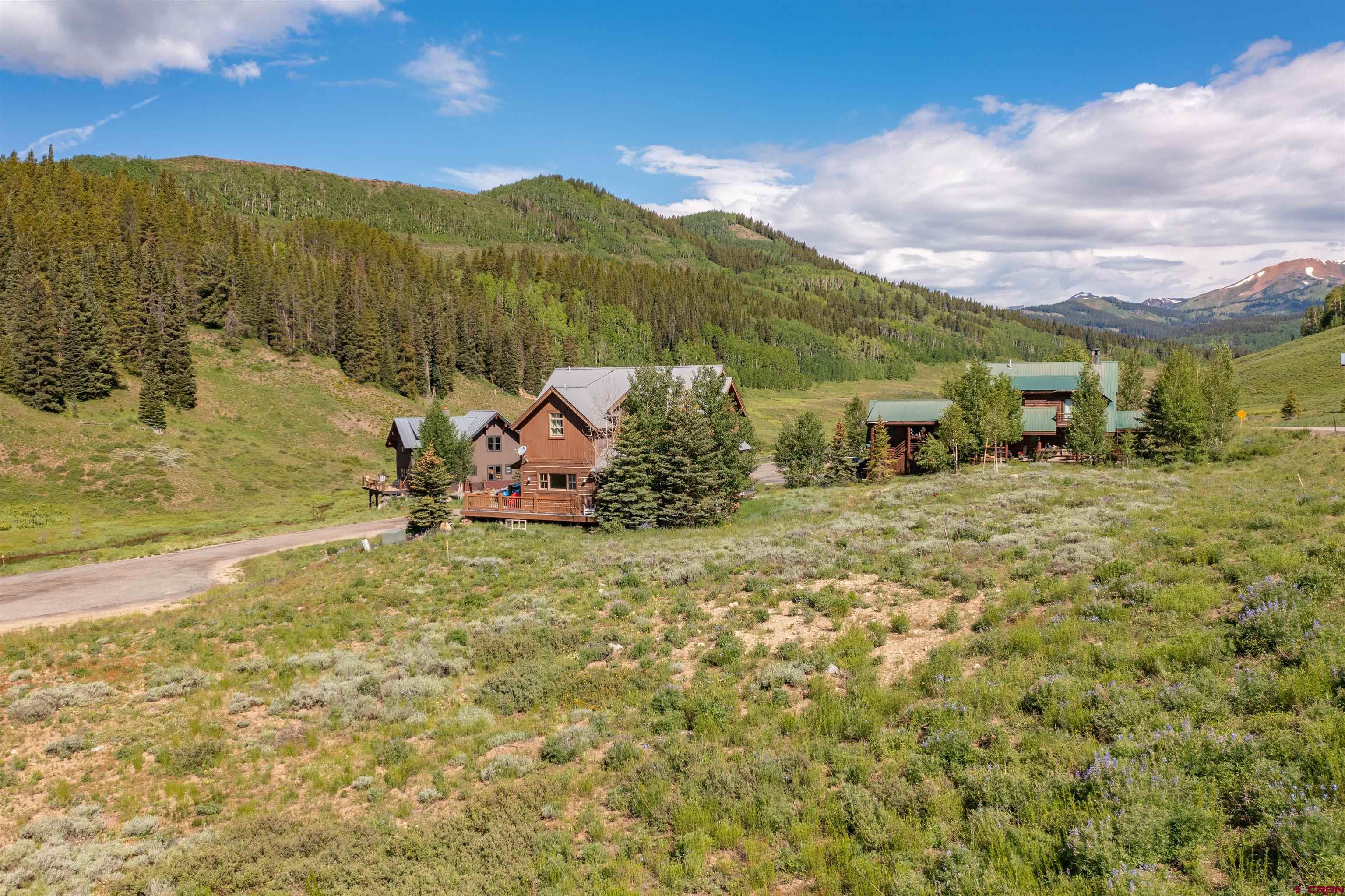 84 Stream View Lane Crested Butte, CO 81224 - Photo 12 of 32
