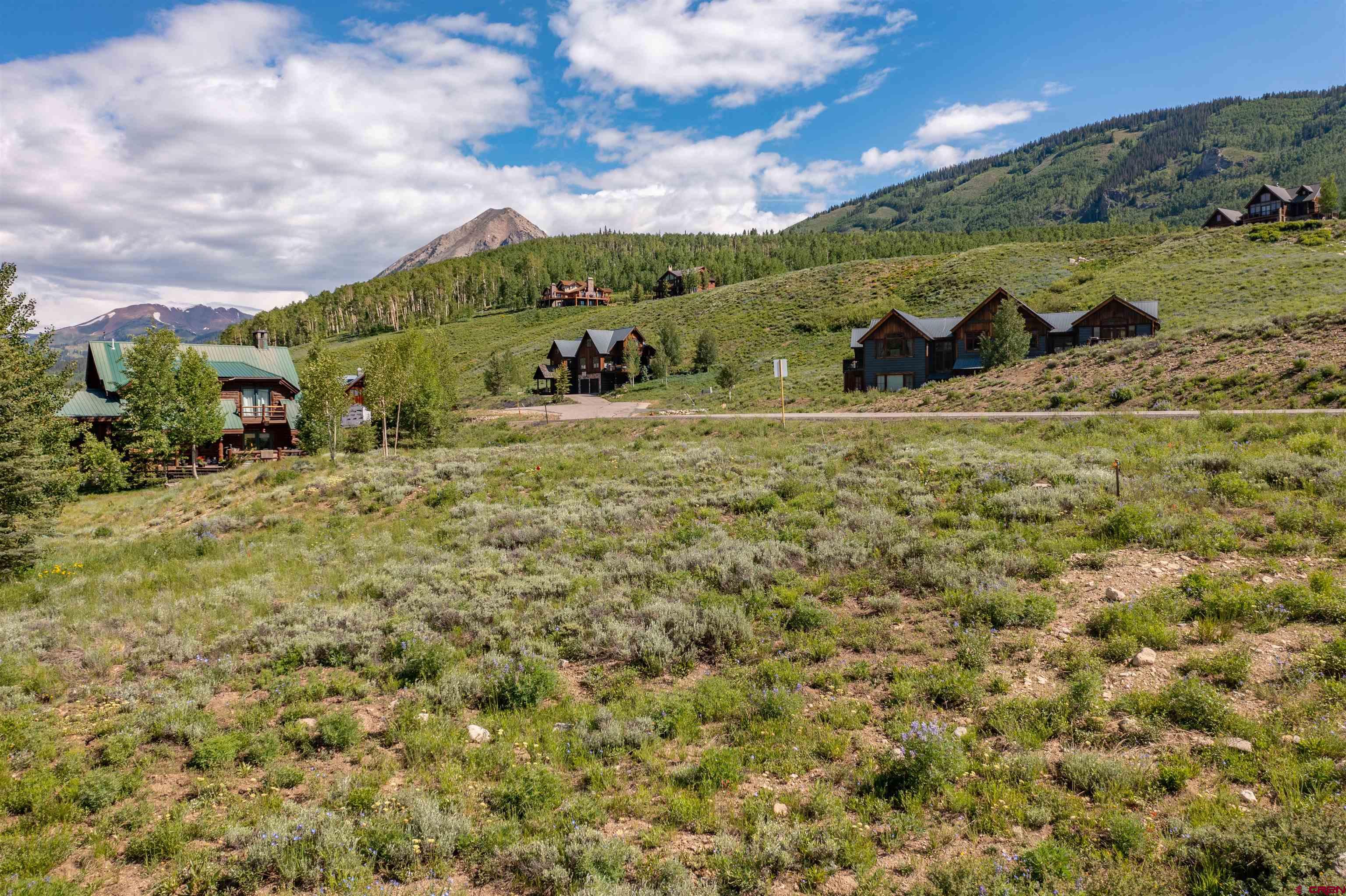 84 Stream View Lane Crested Butte, CO 81224 - Photo 24 of 32