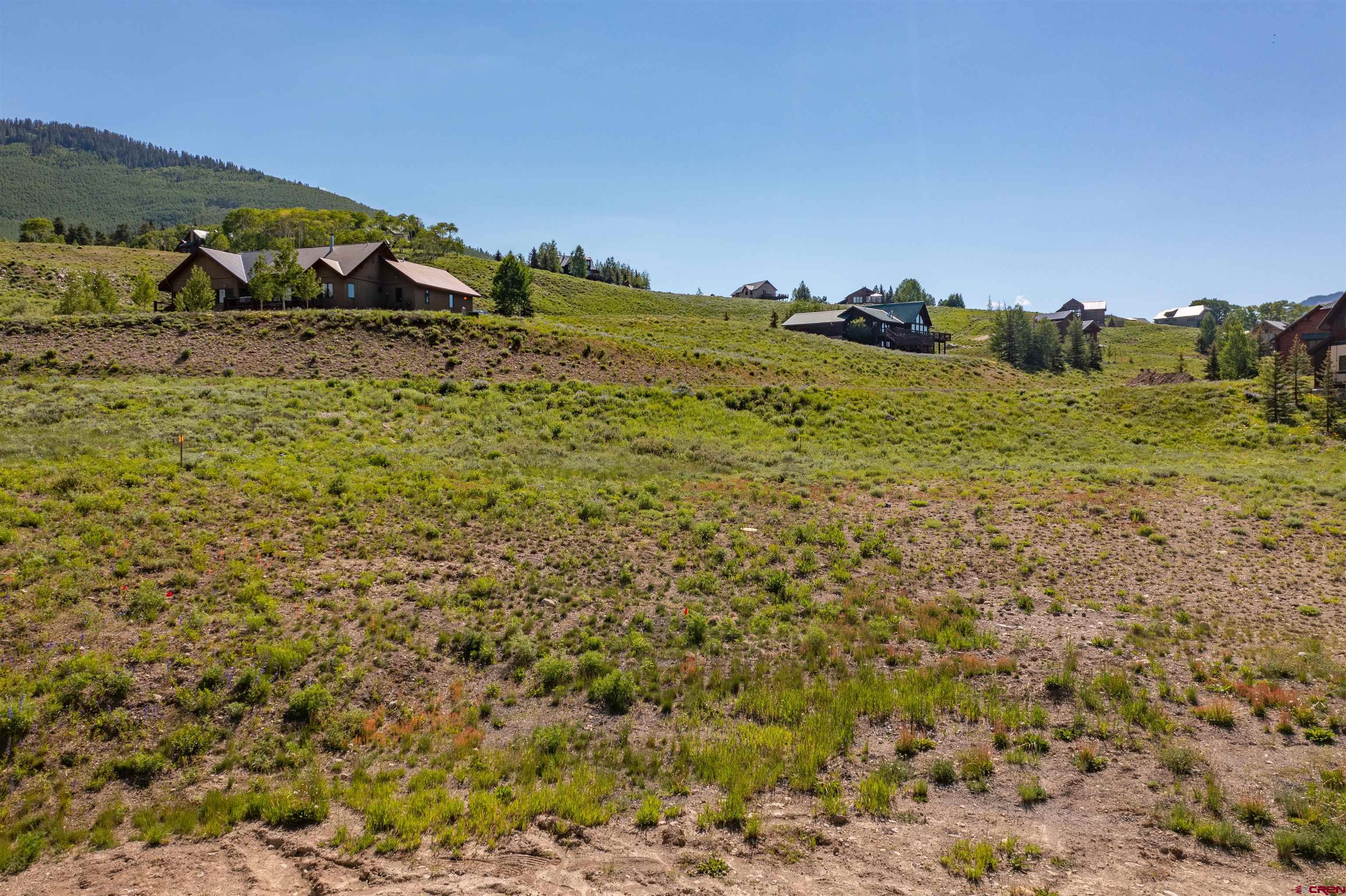 84 Stream View Lane Crested Butte, CO 81224 - Photo 8 of 32