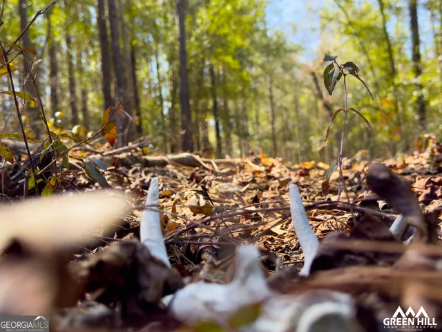 a view of outside area