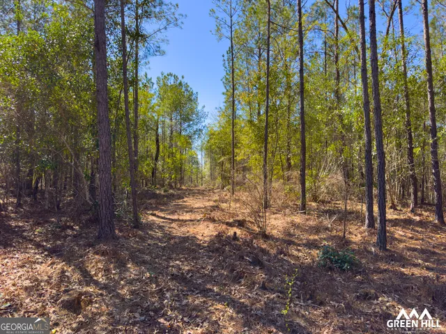 a view of outdoor space with trees