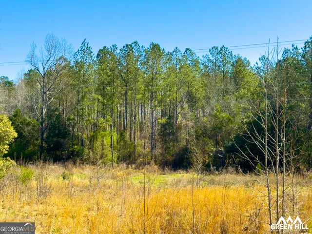 a view of swimming pool from a yard