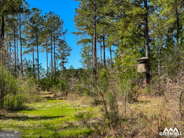 a view of swimming pool of water with green space