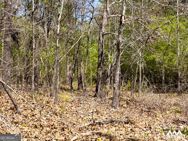 a view of a yard with large trees