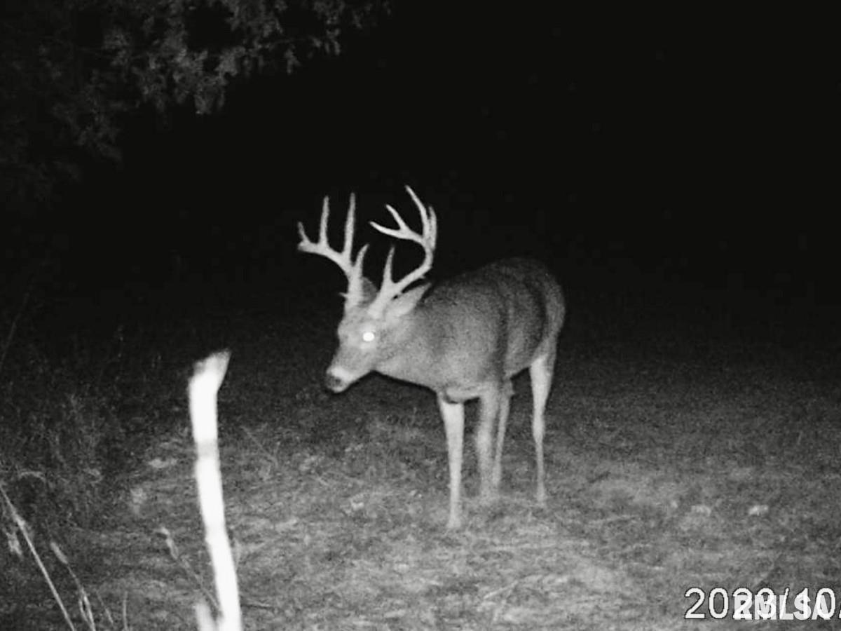 0 Tom Dick Hill Road Stonefort, IL 62987 - Photo 42 of 62