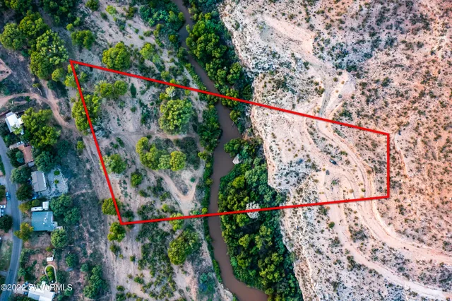 a picture of flowers