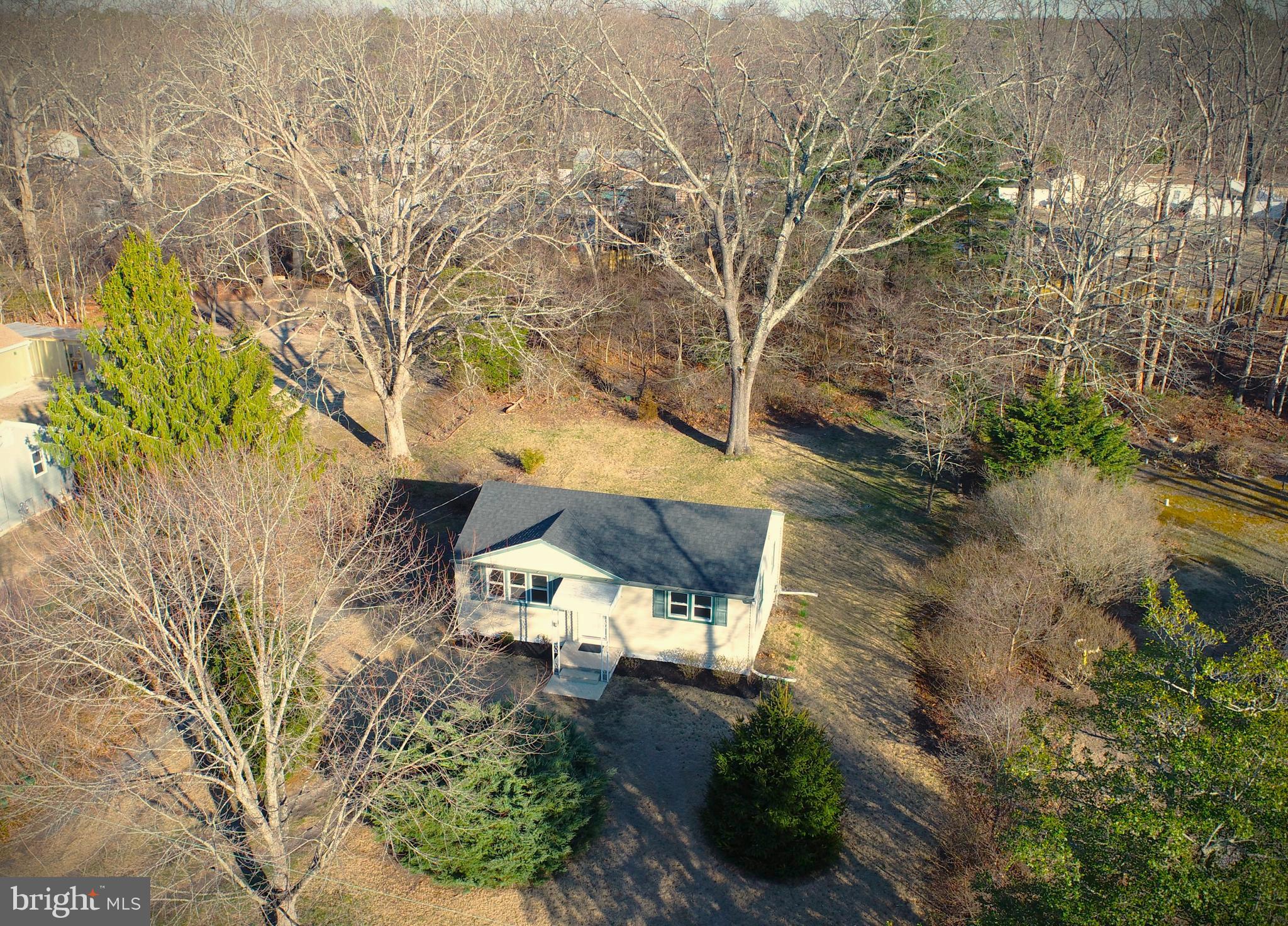 118 Colin Road Williamstown, NJ 08094 - Photo 2 of 16 a view of a yard with plants and large trees