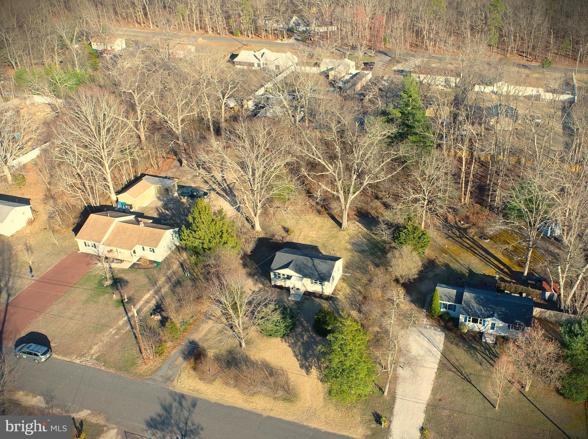 118 Colin Road Williamstown, NJ 08094 - Photo 3 of 16 a picture of a tree