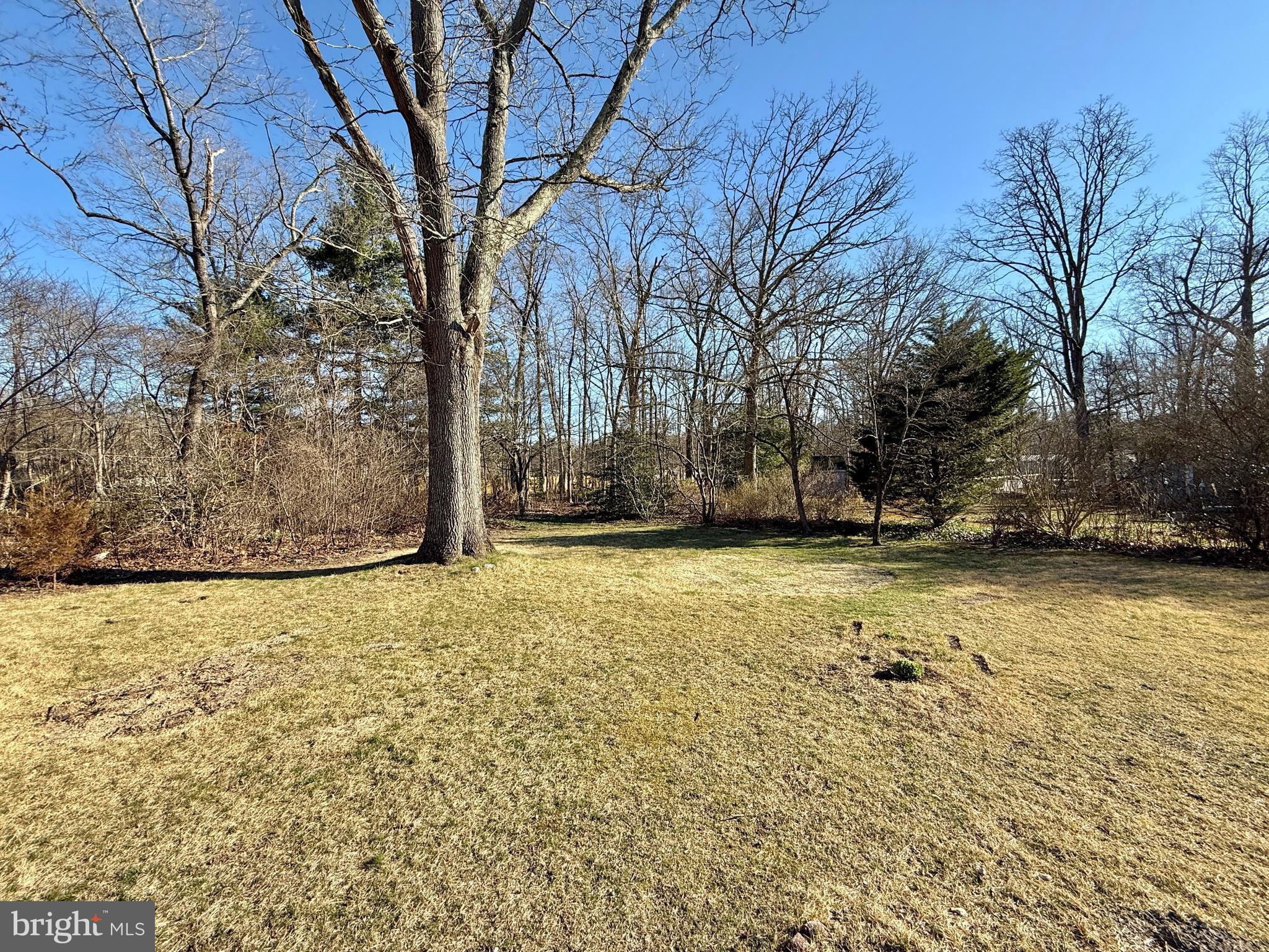 118 Colin Road Williamstown, NJ 08094 - Photo 6 of 16 a view of a yard with a house