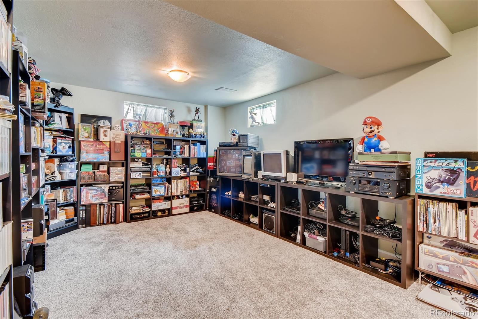 1377 South Oneida Street Denver, CO 80224 - Photo 18 of 27 a room with lots of books and a large tree
