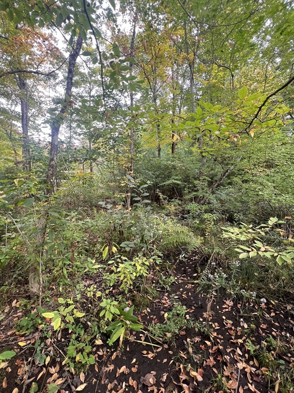 0 Allen Road Belchertown, MA 01007 - Photo 3 of 6