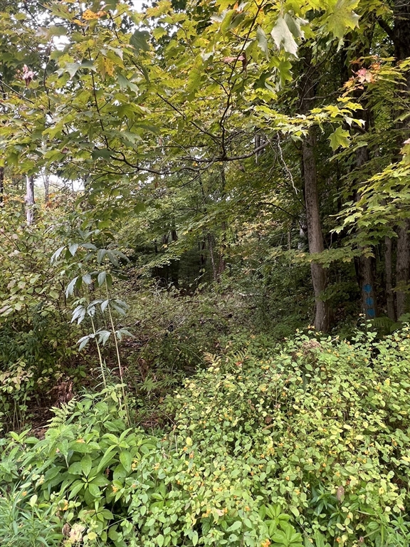 0 Allen Road Belchertown, MA 01007 - Photo 4 of 6