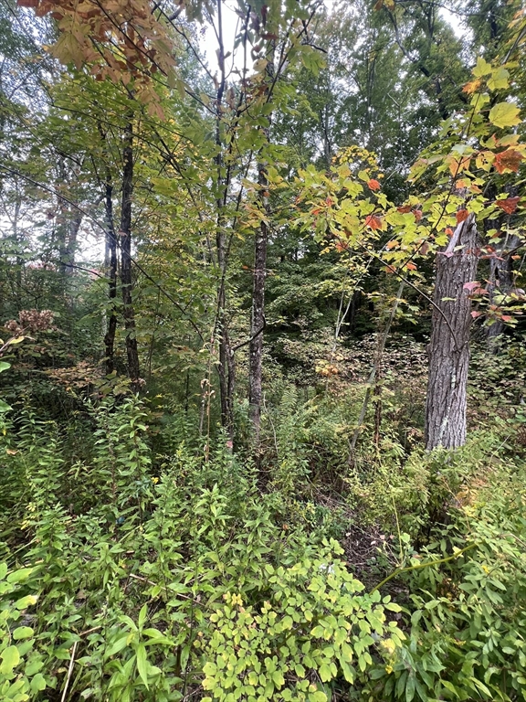 0 Allen Road Belchertown, MA 01007 - Photo 5 of 6