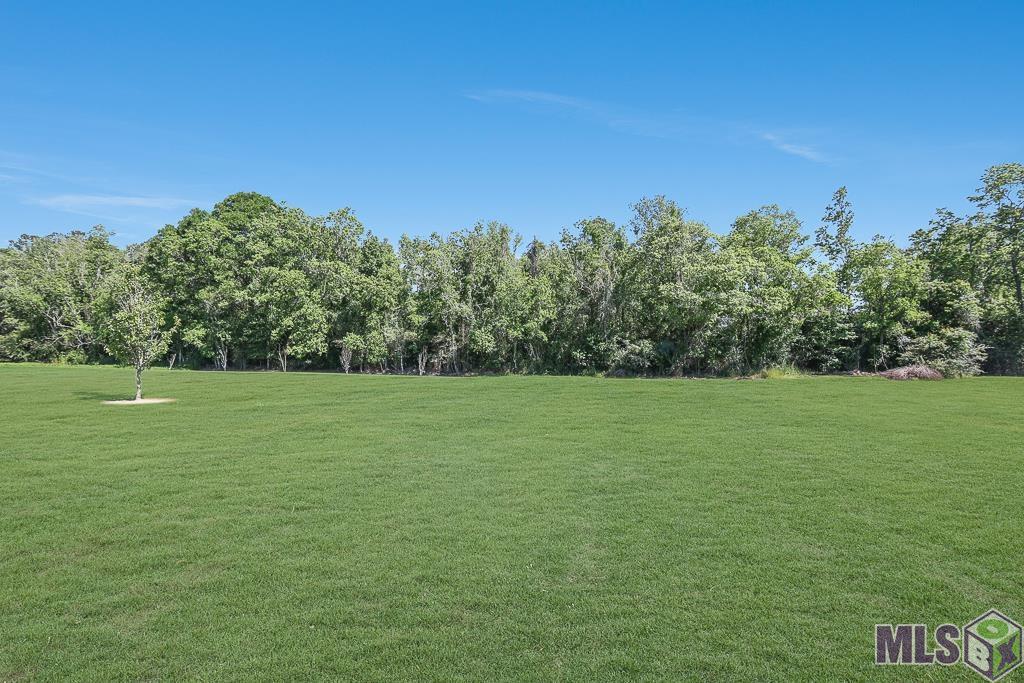 13111 North Ridge Drive Walker, LA 70785 - Photo 25 of 26 Gallery Image 25