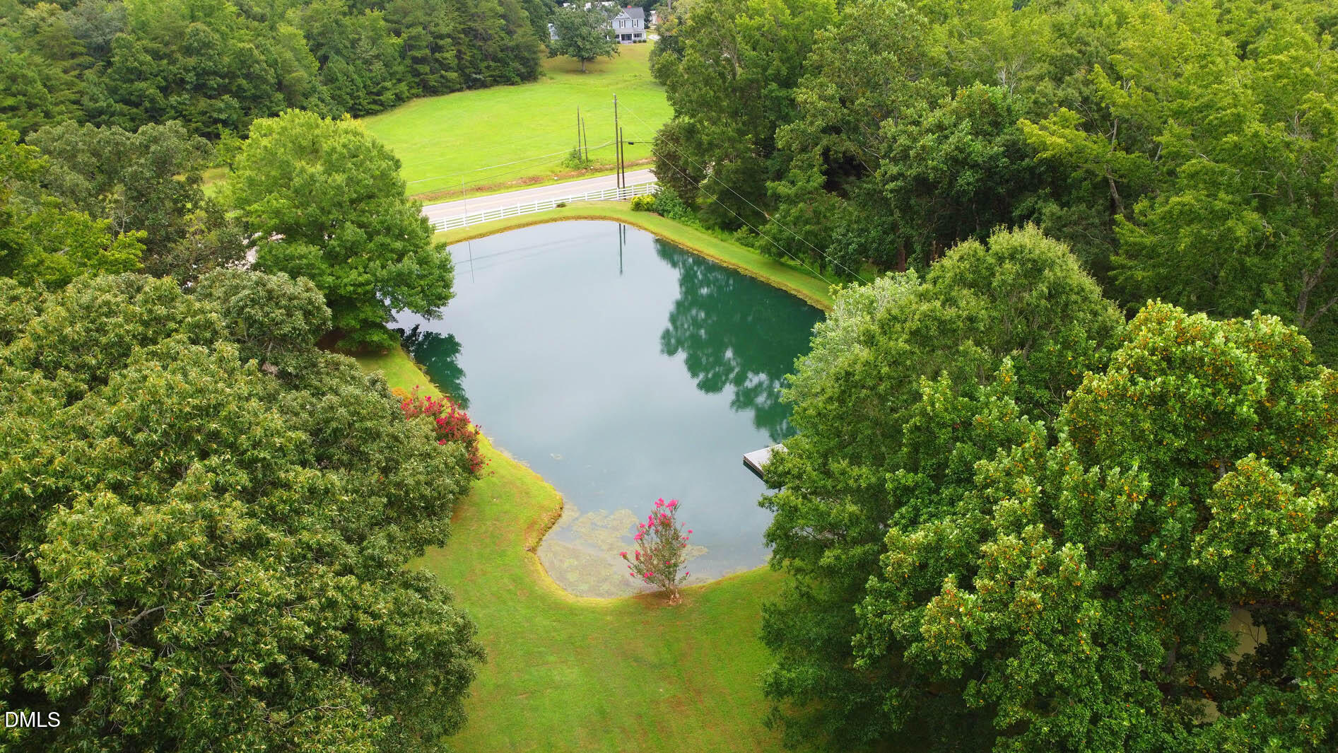 8509 Stagville Road Bahama, NC 27503 - Photo 29 of 95 a view of a yard in a yard
