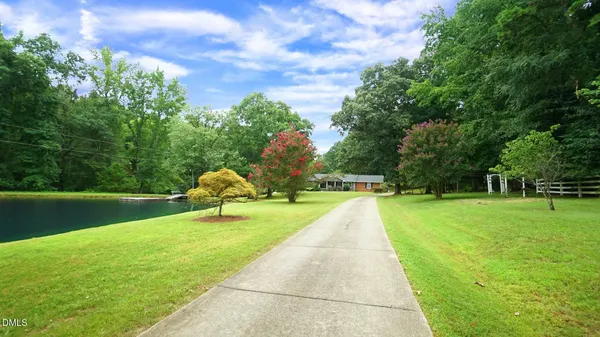 a view of a trees with a yard