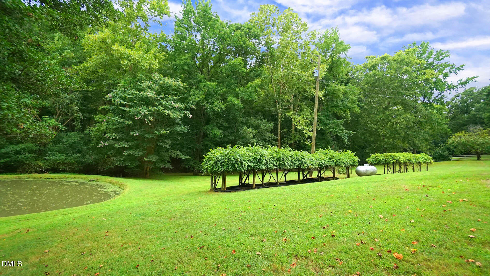8509 Stagville Road Bahama, NC 27503 - Photo 73 of 95 a view of green field with sitting area