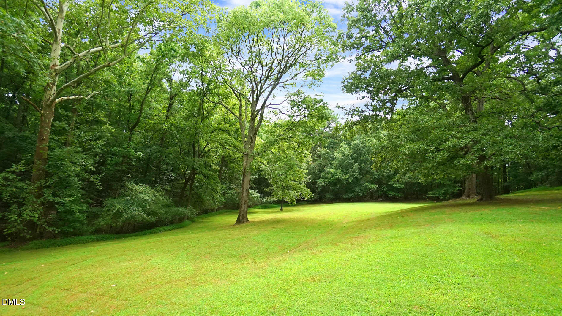 8509 Stagville Road Bahama, NC 27503 - Photo 86 of 95 a view of a field with a tree