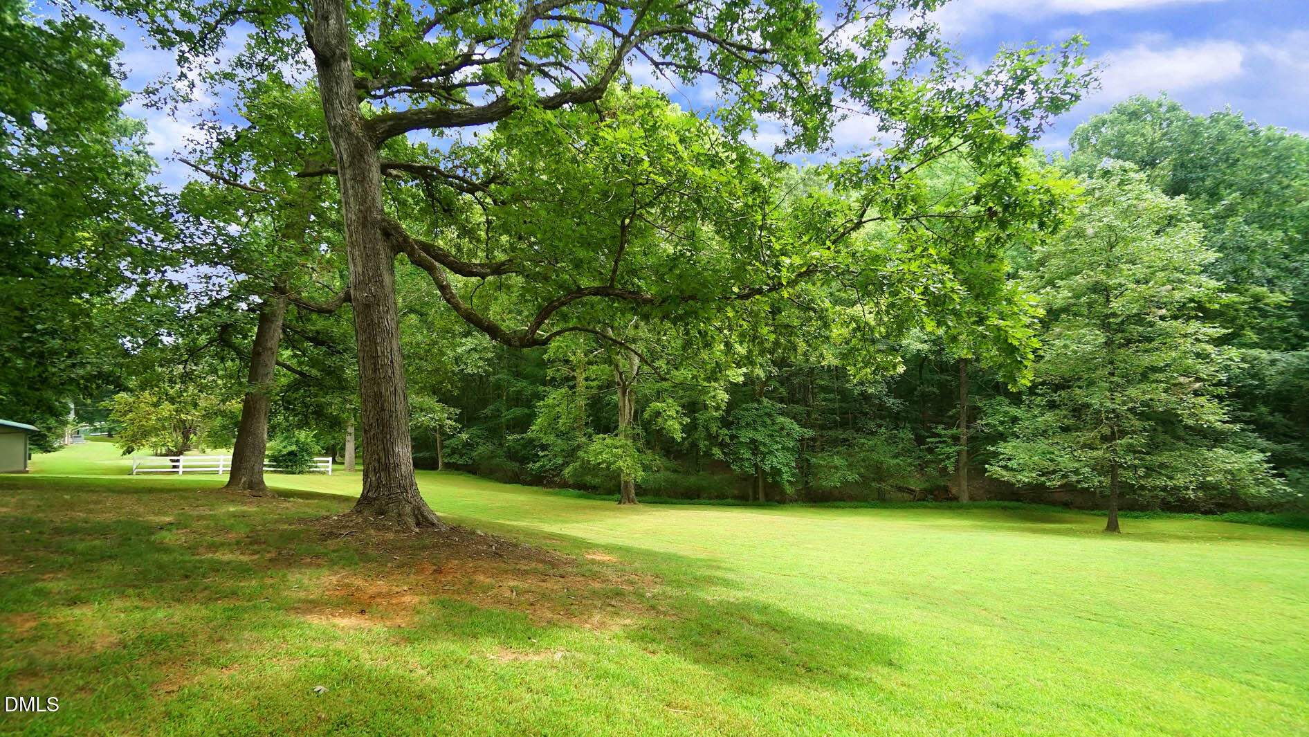 8509 Stagville Road Bahama, NC 27503 - Photo 10 of 95 a view of a trees with a yard