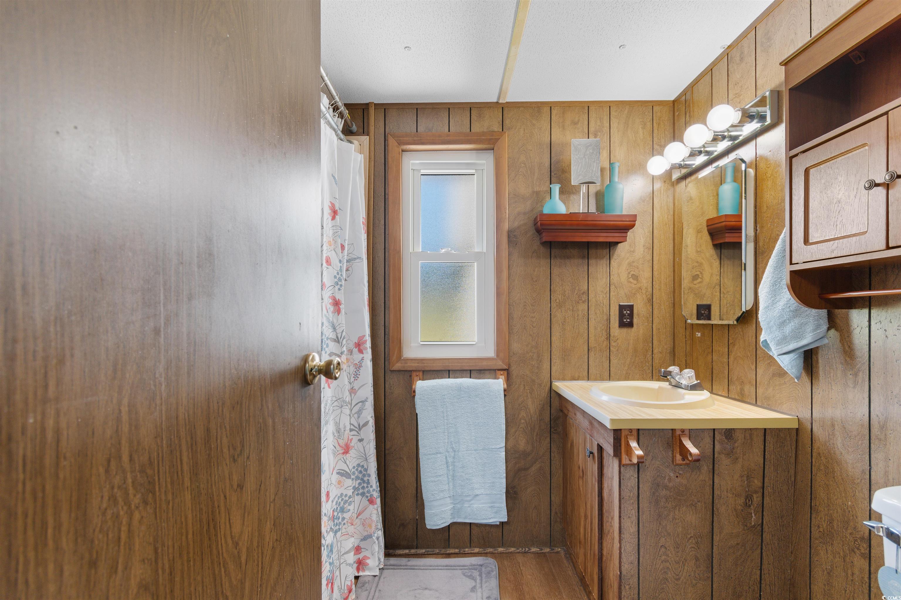 299 Williams Hill Road Hemingway, SC 29554 - Photo 17 of 40 Full bath featuring vanity, wood walls, wood finished floors, and a shower with curtain