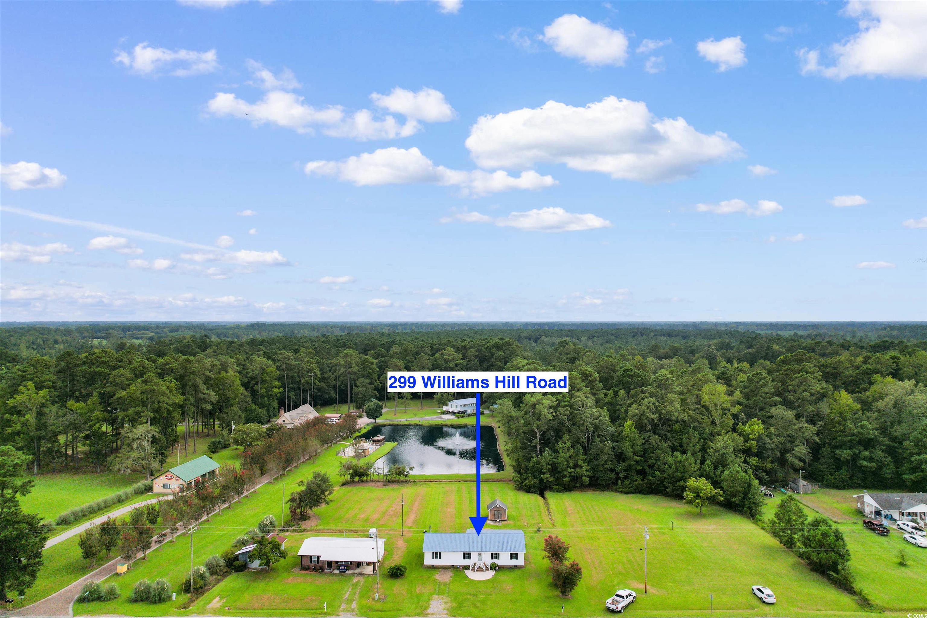 299 Williams Hill Road Hemingway, SC 29554 - Photo 35 of 40 Bird's eye view of a forest and a nearby body of water