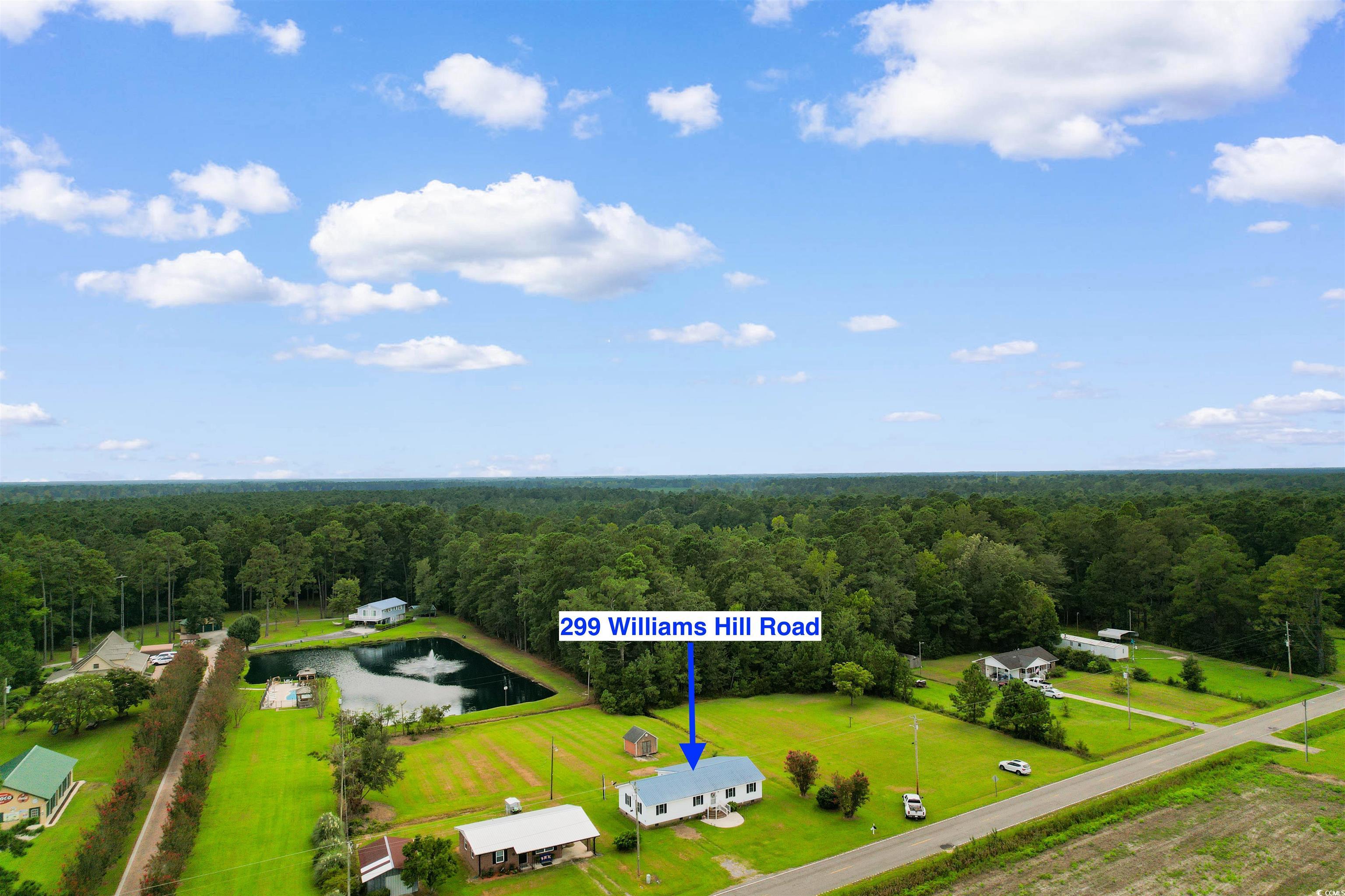 299 Williams Hill Road Hemingway, SC 29554 - Photo 37 of 40 Aerial overview of property's location with property parcel outlined and a large body of water