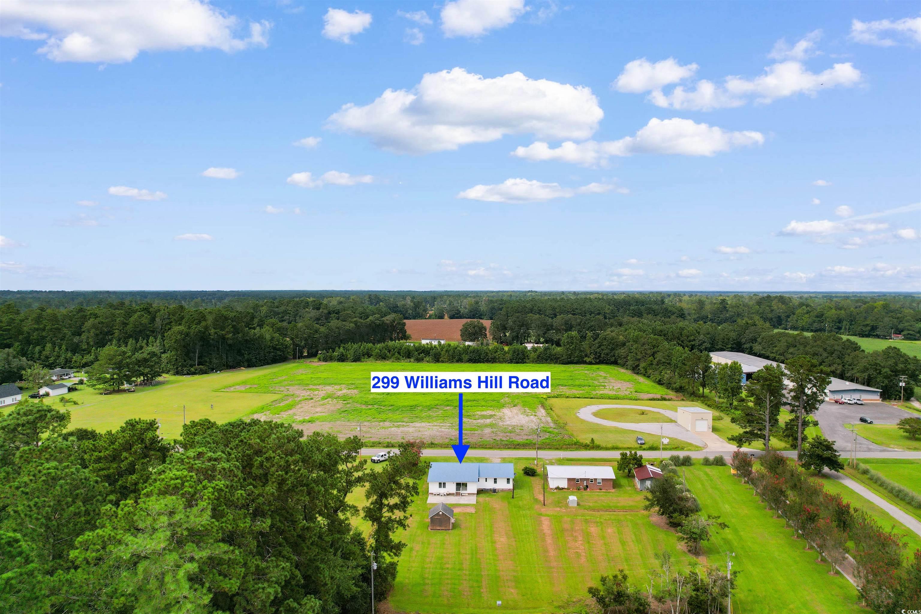 299 Williams Hill Road Hemingway, SC 29554 - Photo 39 of 40 Aerial view of a forest