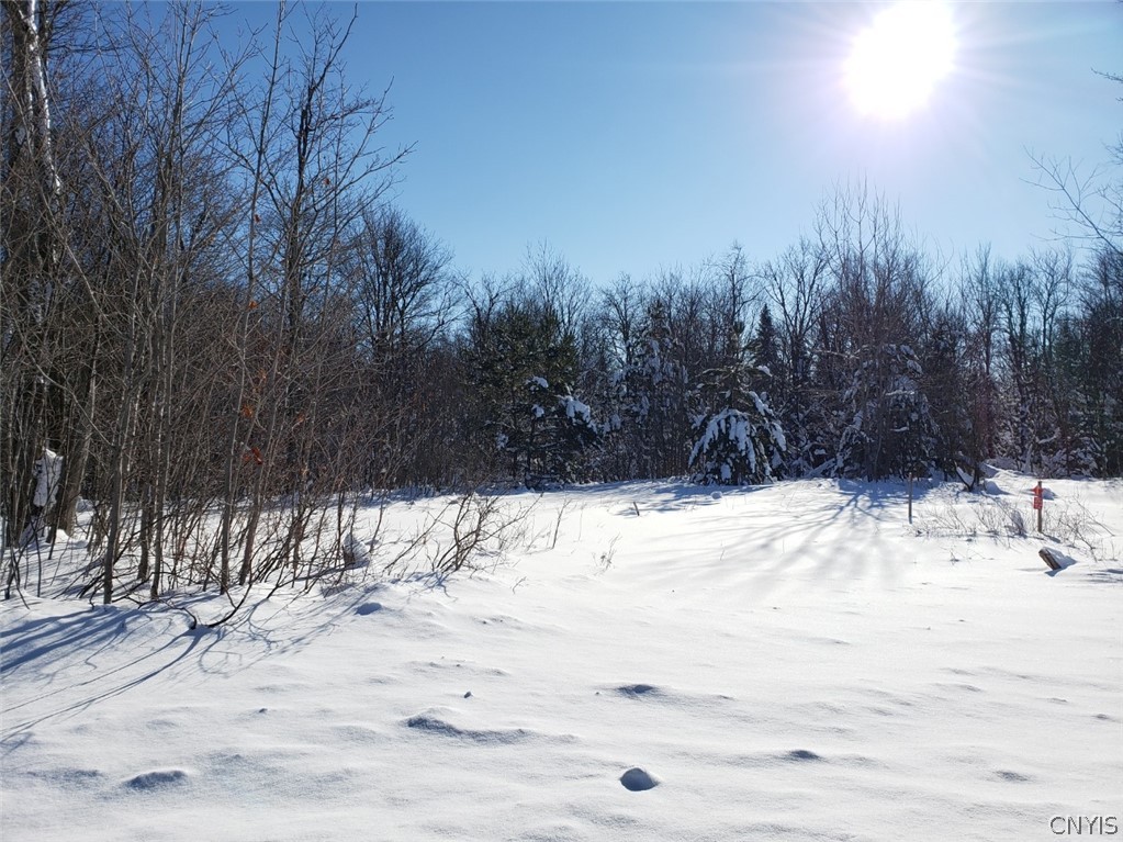 4450 MacKay Road Turin, NY 13473 - Photo 1 of 1
