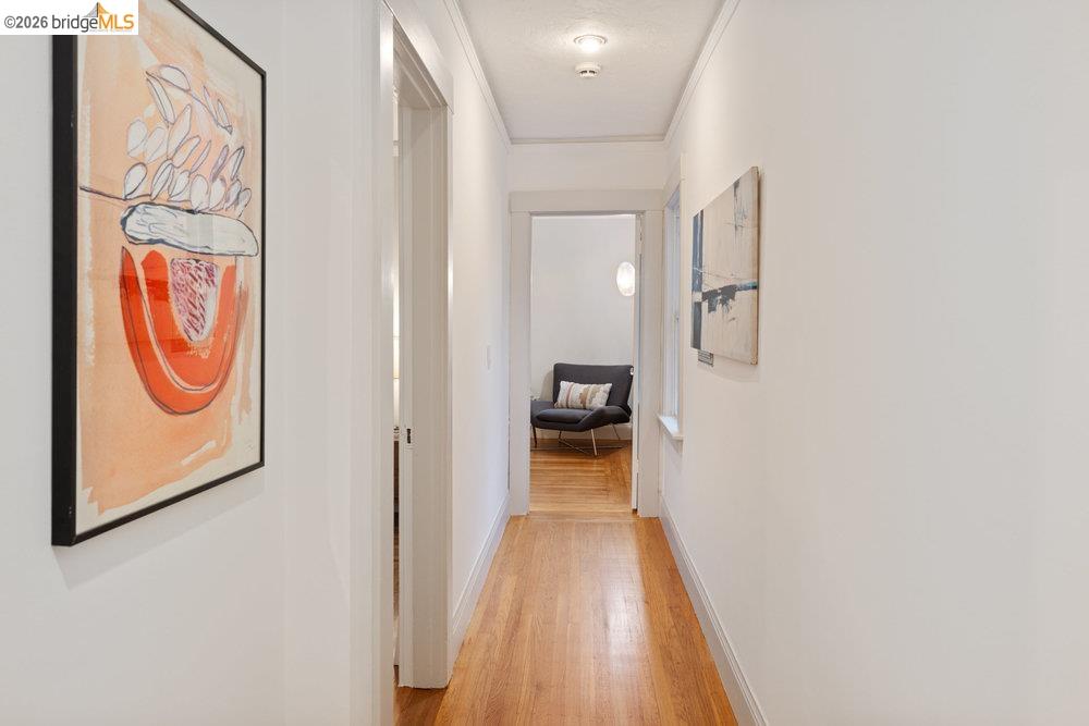 589 San Luis Road Berkeley, CA 94707 - Photo 20 of 60