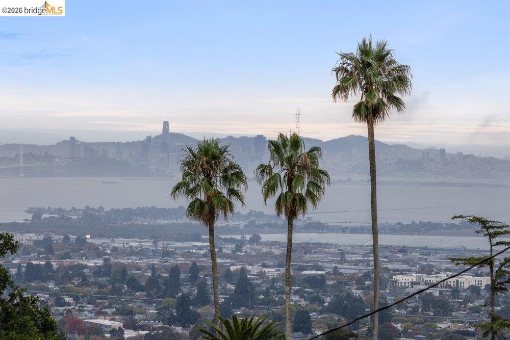 589 San Luis Road Berkeley, CA 94707 - Photo 45 of 60