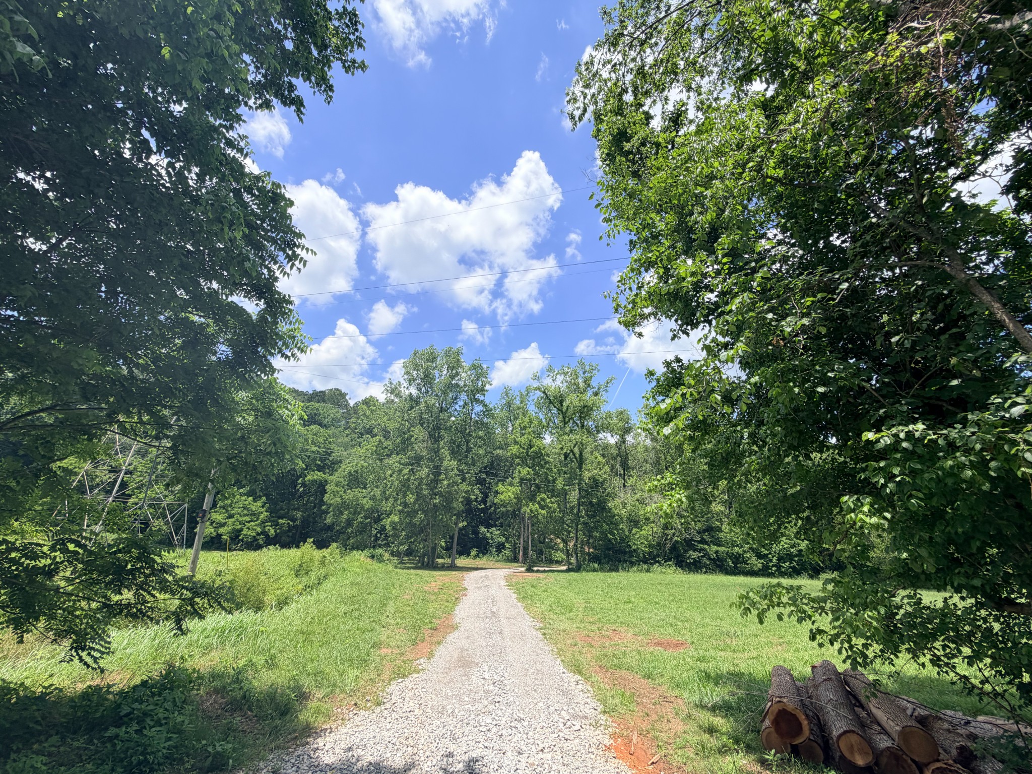 1 Budds Creek Road Palmyra, TN 37142 - Photo 3 of 76