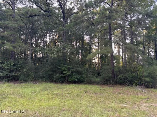 $45,000 | Park Place, McComb, MS 39648