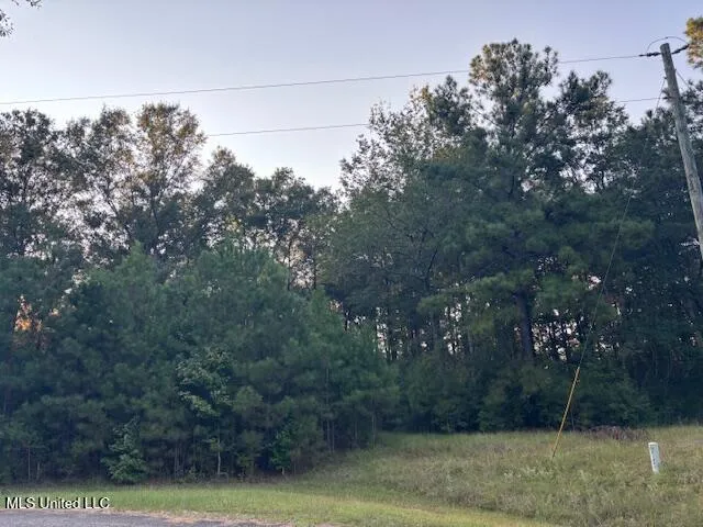 $45,000 | Park Place, McComb, MS 39648
