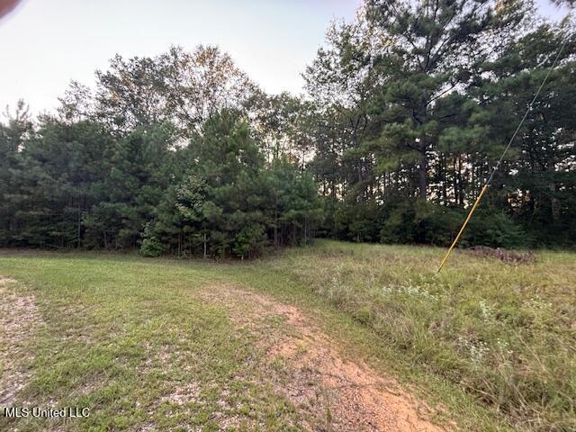 Park Place McComb, MS 39648 - Photo 7 of 8 IMG_5159