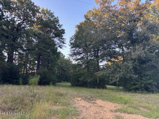 Park Place McComb, MS 39648 - Photo 8 of 8 IMG_5160