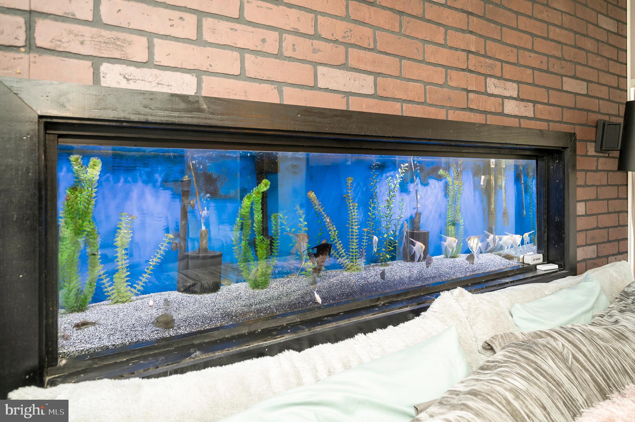 34134 Parker Road Locust Grove, VA 22508 - Photo 28 of 48 Owner's Suite Aquariium Will Convey