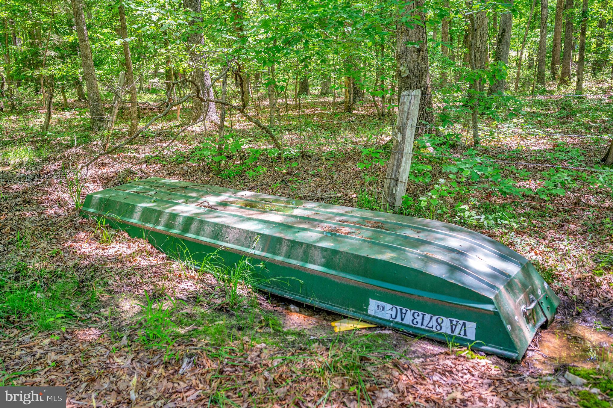 34134 Parker Road Locust Grove, VA 22508 - Photo 39 of 48 John Boat WILL CONVEY
