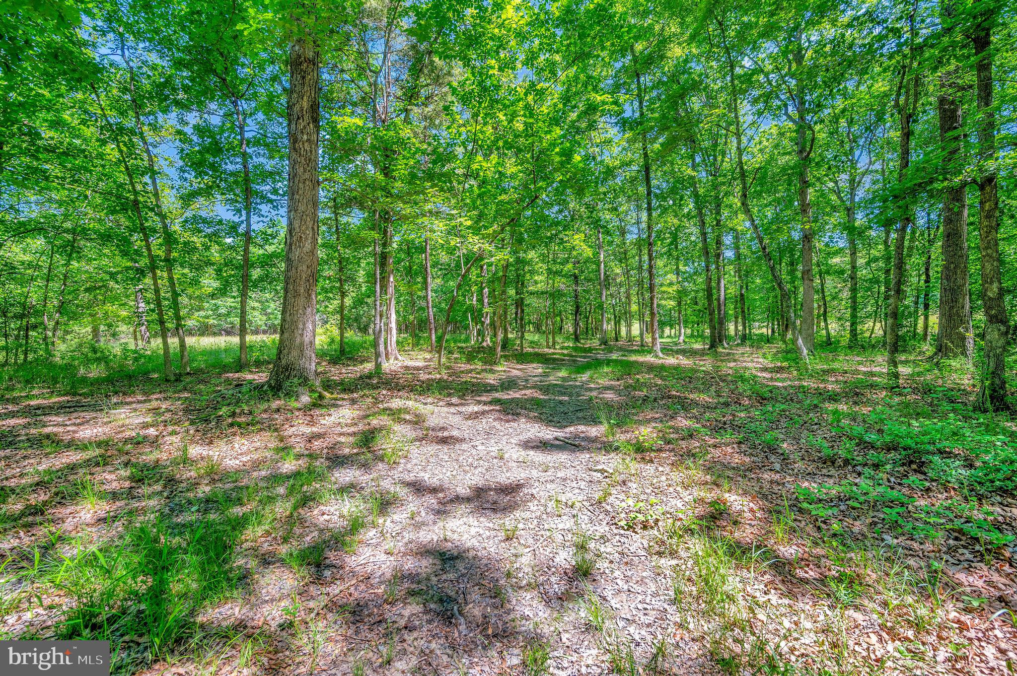 34134 Parker Road Locust Grove, VA 22508 - Photo 45 of 48 MILES of Trails through proeprty