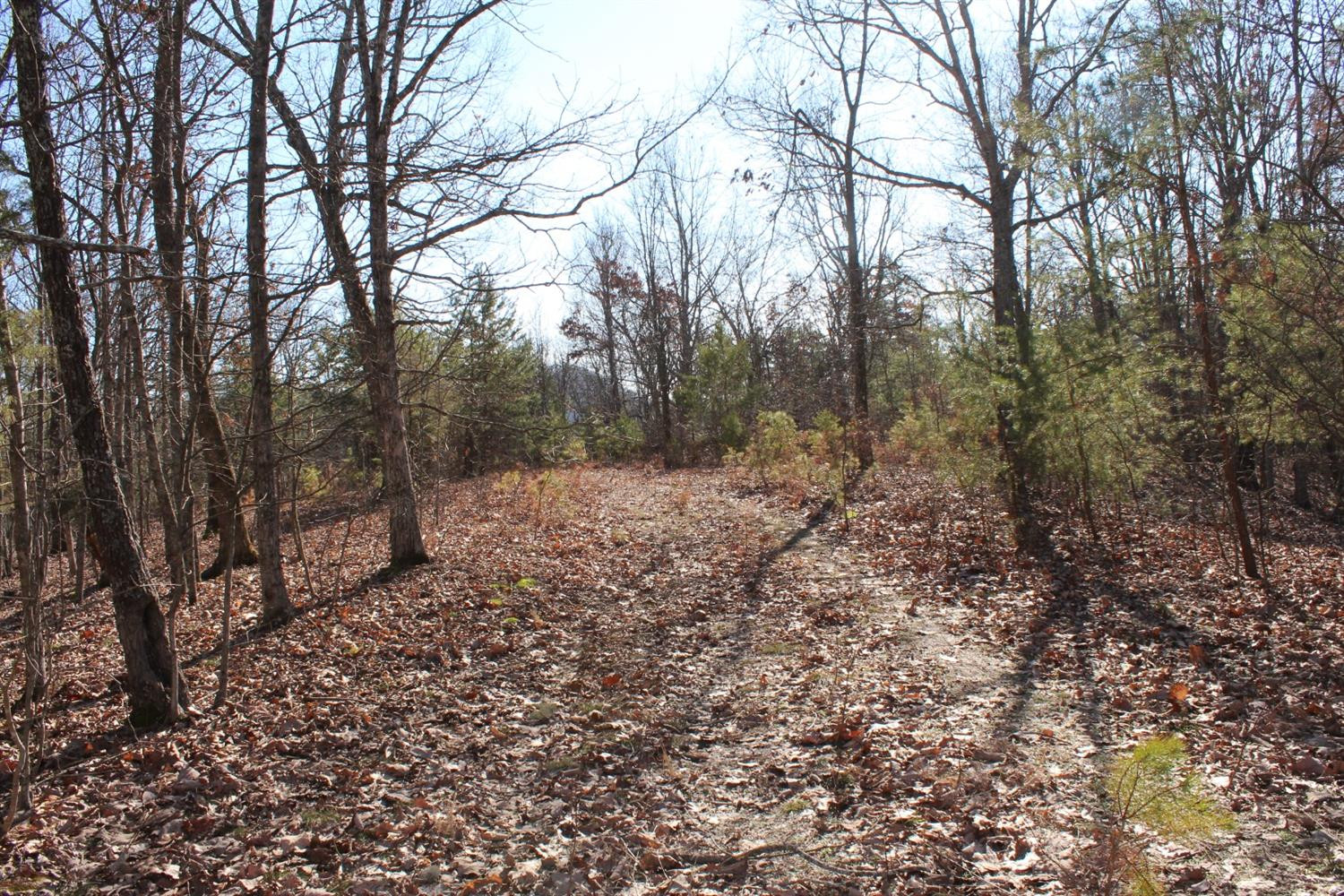 240 Webb Road Berea, KY 40403 - Photo 30 of 37 Photo 30