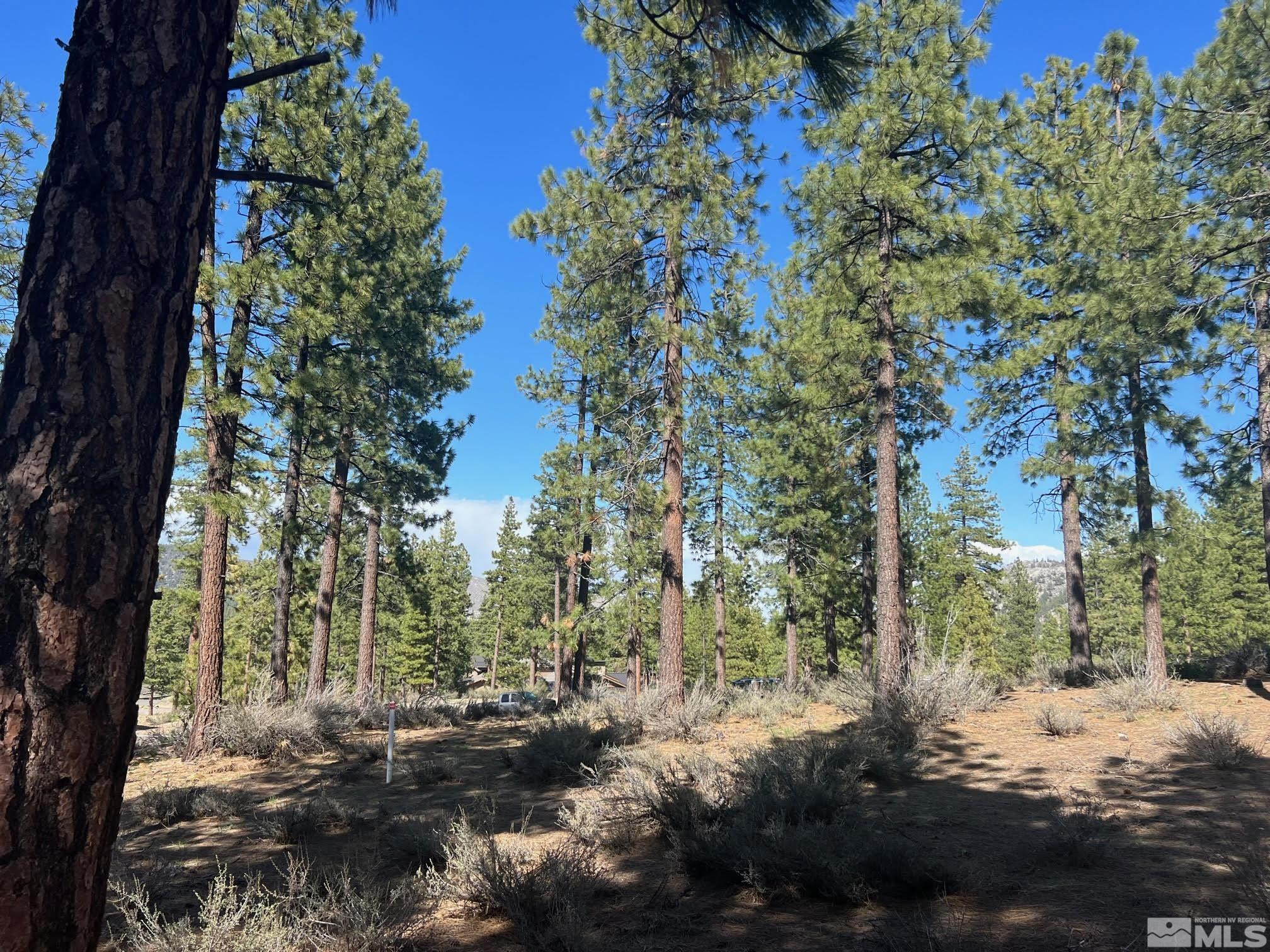 140 Walton Toll Road, Unit 179 Carson City, NV 89705 - Photo 3 of 39 a view of a red and white house in a forest