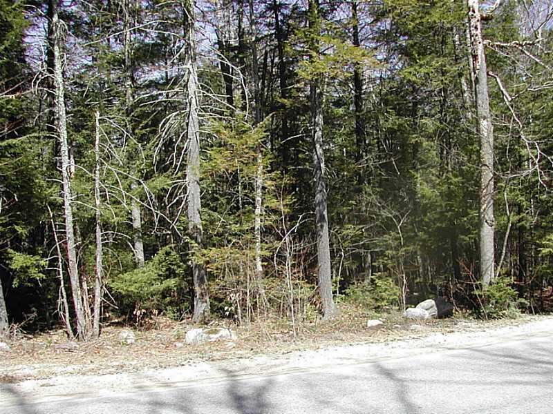 Lot 29 Dyke Mountain Road Sebago, ME 04029 - Photo 2 of 4 Land/Lot.