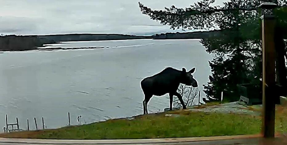 67 Upper Narrows Road Jackman, ME 04945 - Photo 15 of 193 Screenshot_20231118_090551_YI Home
