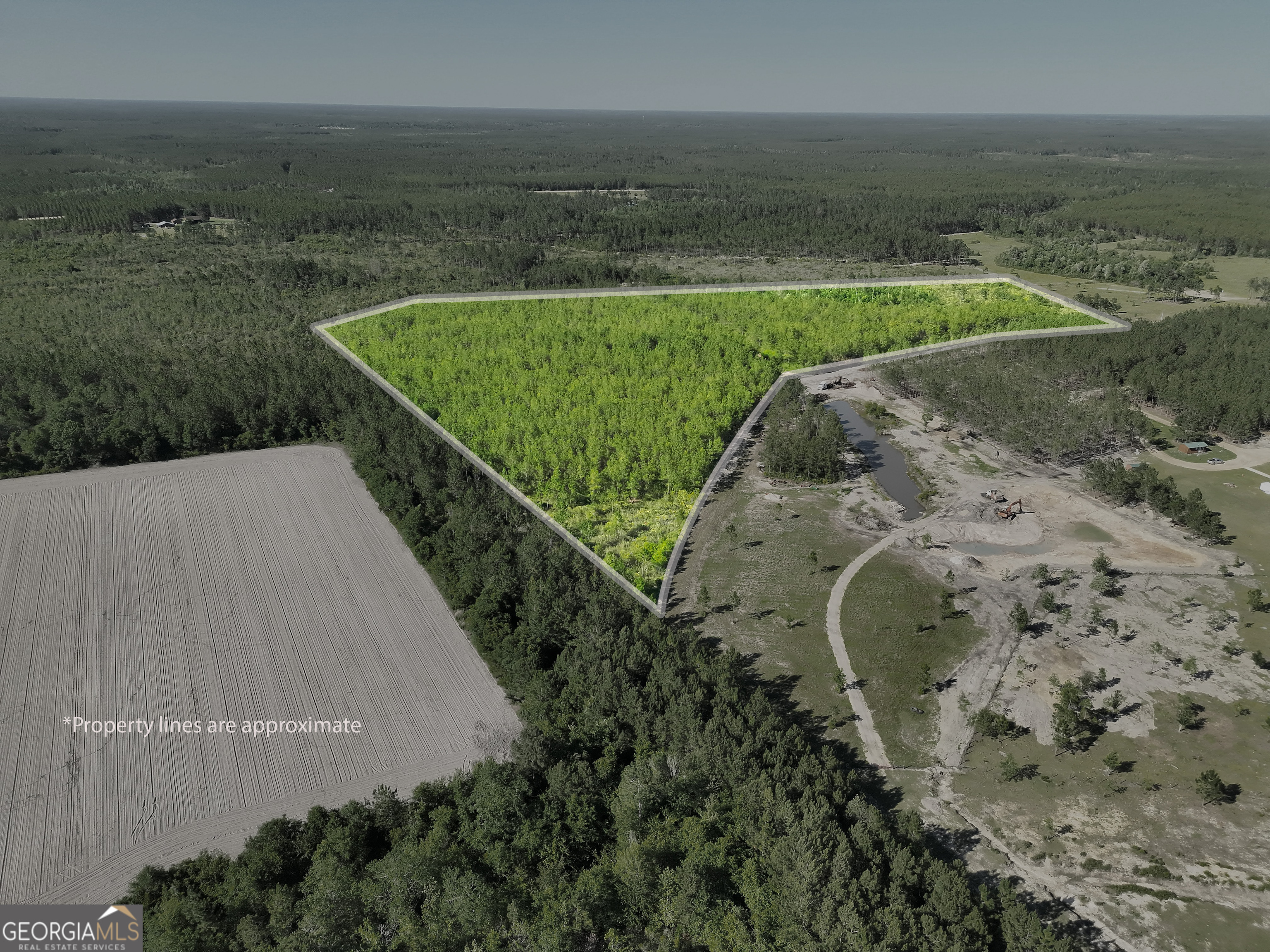 23.68-acres Quick Draw Road Millwood, GA 31552 - Photo 7 of 11