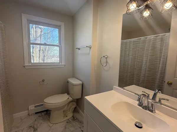 a bathroom with a sink toilet and vanity