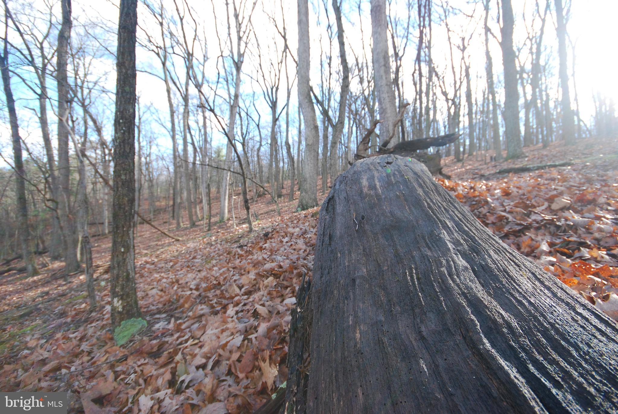 Lot 70-71 Mill Mountain Road Romney, WV 26757 - Photo 23 of 52