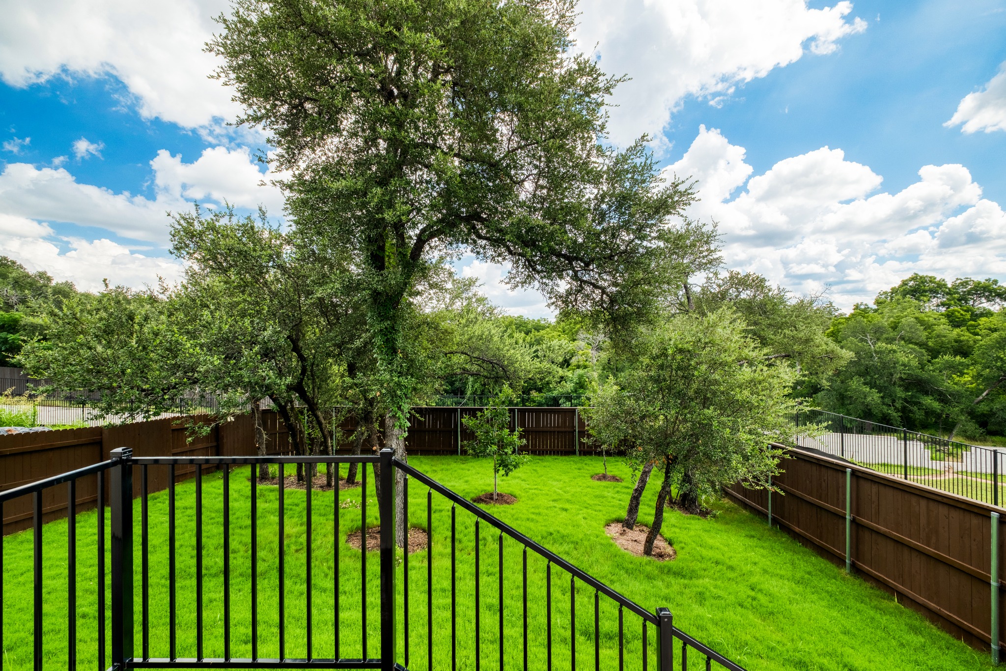 2605 Sam Bass Road, Unit 44 Round Rock, TX 78681 - Photo 24 of 26 A spacious, naturally illuminated private backyard backing to a greenbelt, featuring mature trees and vibrant green grass, perfect for outdoor activities.